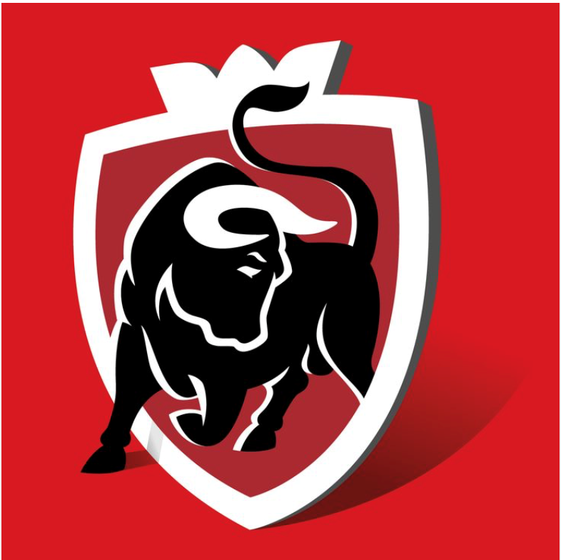 sponsor image