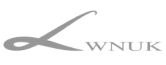 sponsor image